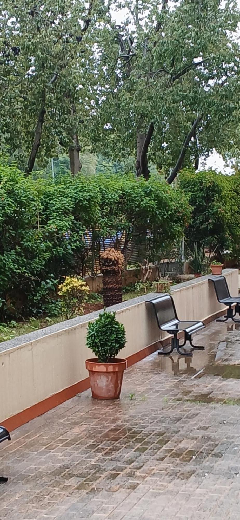 Larru Los Bermejales Residencia Universitaria セビリア エクステリア 写真